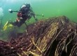 Fotografie podwodne pt. Ekspedycja Schleswig - Holstein