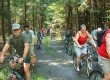 Rodzina i przyjaciele na rowerze